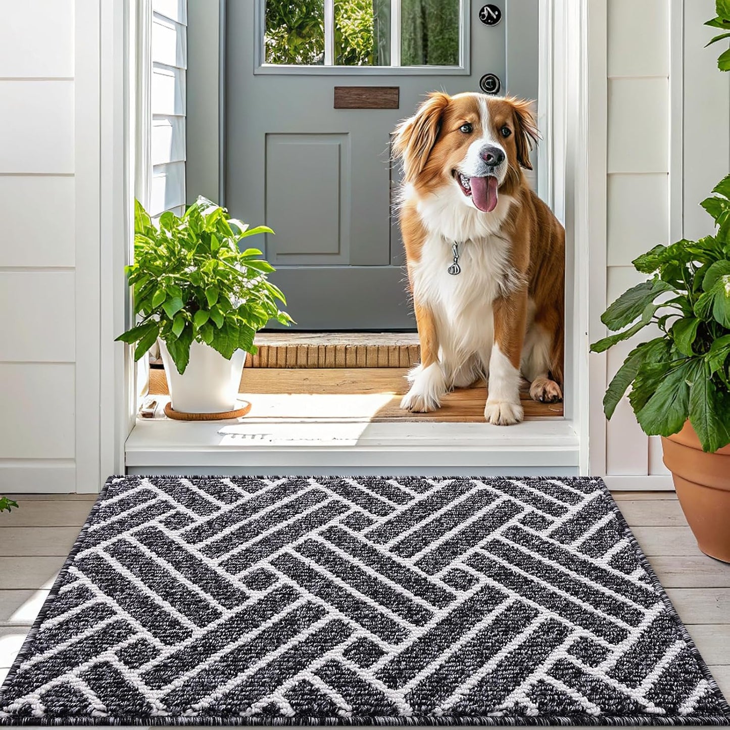 OLANLY Large Indoor Door Mat, 59x35 Inch, Dirt Resistant and Absorbent, Non-Slip Rubber Backing Floor Mats, Easy Clean Low-Profile Doormat for Entryway, Front Door, and Inside Entrance, Black
