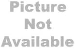 3M High Productivity Floor Pad 7300 - Image 3