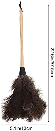 Hemoton Duster Natural Ostrich Duster Fluffy - Image 7