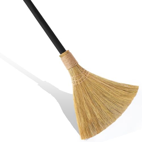 Natural Whisk Sweeping Black Handle Broom by TTSForHome