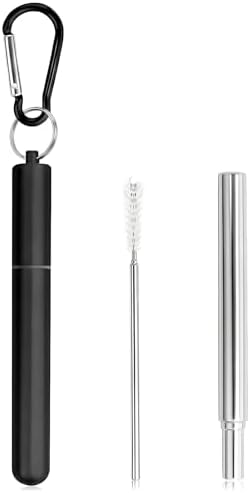 1 Pack Metal Straws for Cruise Ship Essentials, Travel Essentials, Reusable by Foweroty