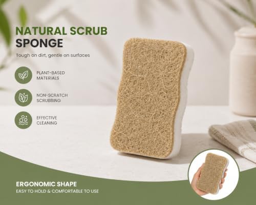 Wood Pulp Kitchen Sponges, 12 Pack – Natural Cellulose & Coconut Scrubber - Image 2