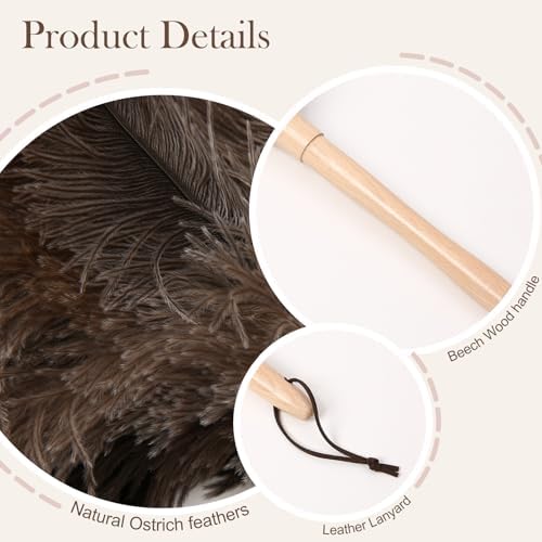 Ostrich Duster Fluffy Natural Feather Dusters - Image 3