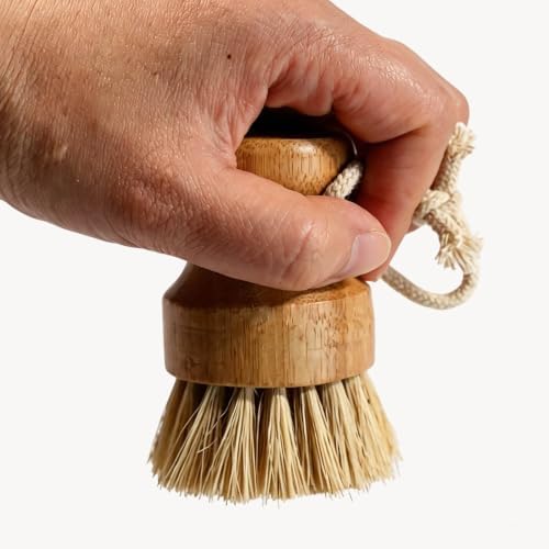 1-Pcs Bamboo Vegetable Brush, Natural Bristle Dish Brush by Unknown