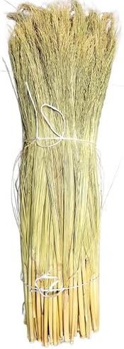 Craft Broom Corn with Stalks 2 Pound Bundle 24-36" Length by ParkerHomestead