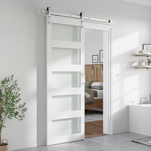 SMARTSTANDARD 30 x 84 in Glass Barn Door by SMARTSTANDARD