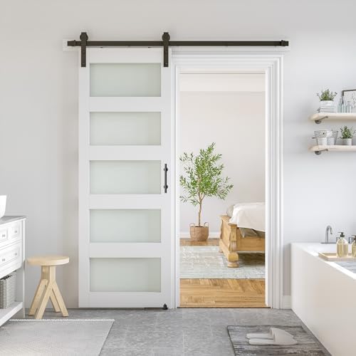 SMARTSTANDARD 28 x 84 in Glass Barn Door by SMARTSTANDARD