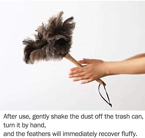 DDZMZ Ostrich Feather Duster for Cleaning - Image 5