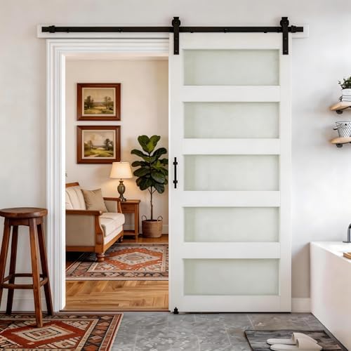 SMARTSTANDARD 36" x 84" Glass Barn Door by SMARTSTANDARD