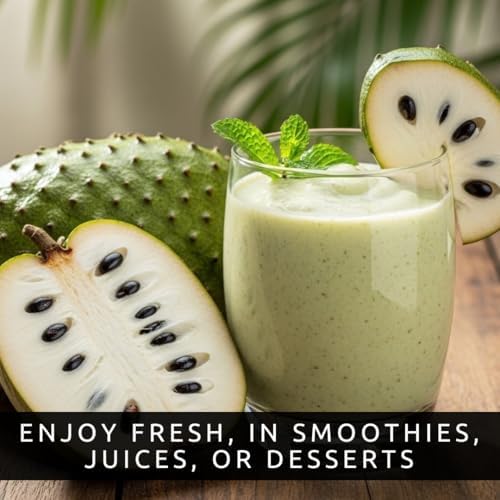 5 Soursop Seeds | Annona Muricata Tropical Fruit Tree Seeds - Image 6