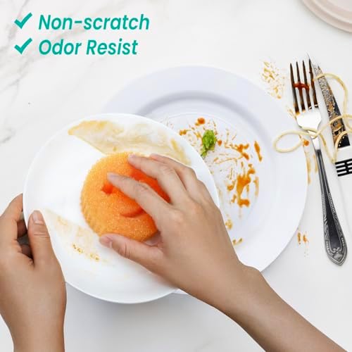 Dish Scrub Sponges - Image 4
