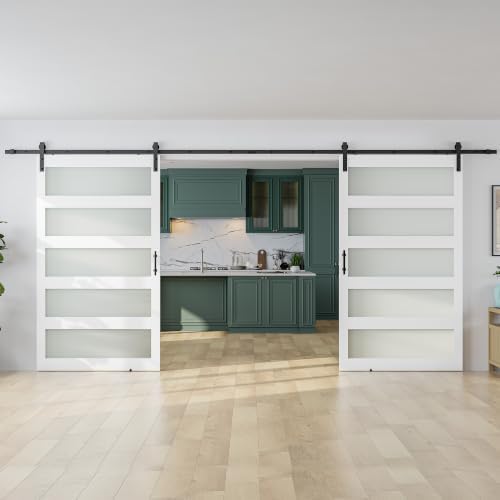 SMARTSTANDARD Double 48"×84" Glass Barn Door by SMARTSTANDARD