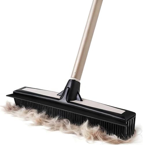 Eyliden Rubber Carpet Rake by Eyliden