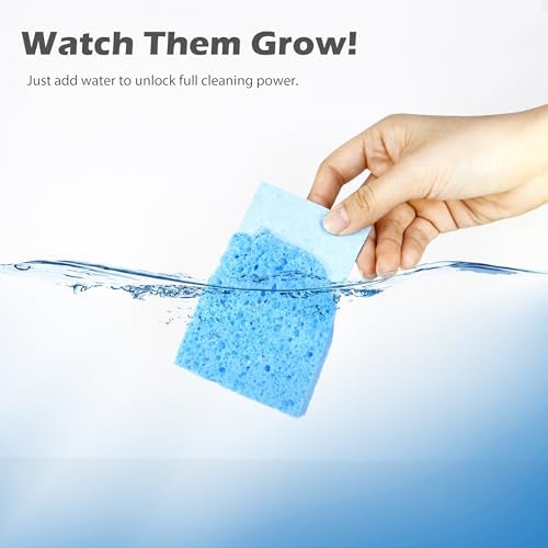 Cellulose Kitchen Sponges for Dishes - Image 3