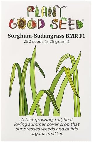 Plant Good Seed Organic Sorghum-Sudangrass Seeds by ThePlantGoodSeedCompany