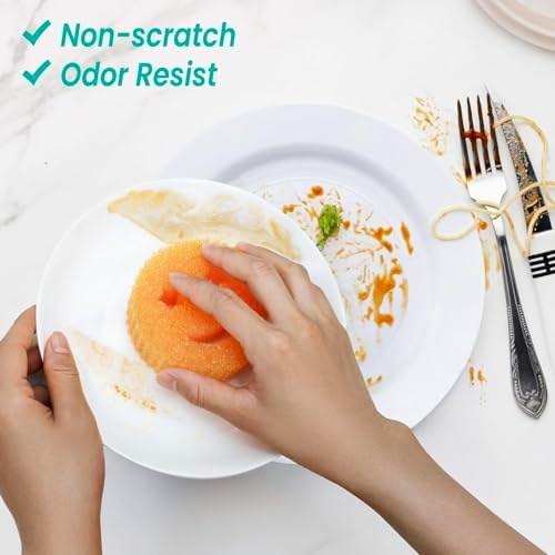Dish Scrub Sponges - Image 5