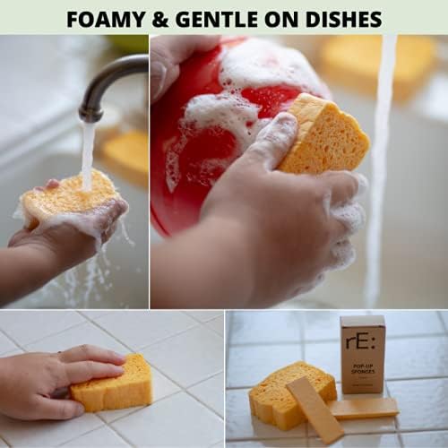 rE: REKURATOR Eco-Friendly Pop-Up Sponges – 100% Vegetable Cellulose, - Image 5