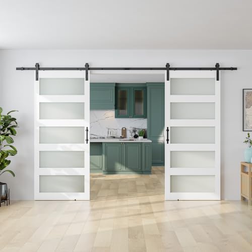 SMARTSTANDARD Double 34"×84" Glass Barn Door by SMARTSTANDARD