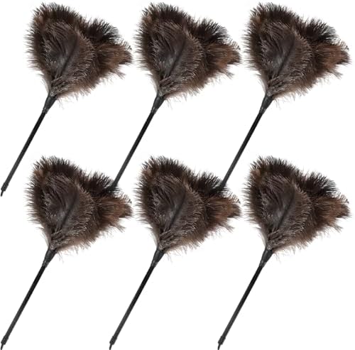 Ostrich Feather Duster-14.9 Inch Mini Natural Feathers Dusters by FeelFunFeather