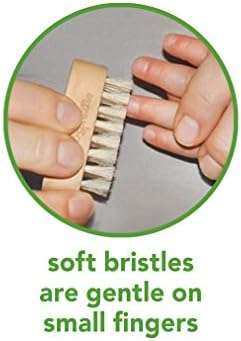 green sprouts Nail Brush - Image 6