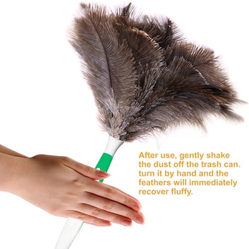 Genuine Ostrich Feather Duster 16 Inch - Image 5