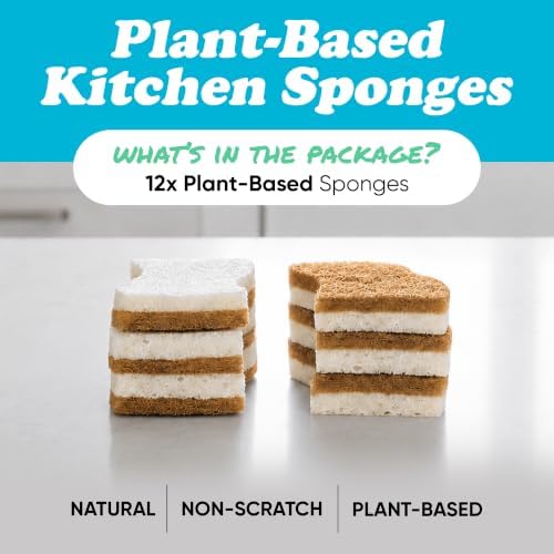 Organic Origin Plant Based Kitchen Sponges 12 Pack, Plant Based Sponges - Image 2