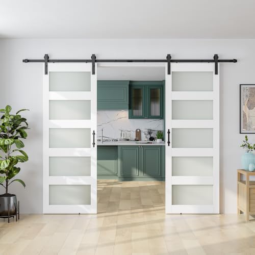 SMARTSTANDARD Double 32"×80" Glass Barn Door by SMARTSTANDARD