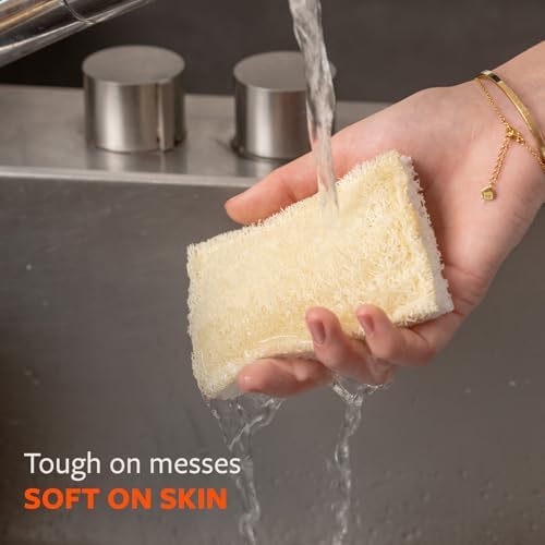 Full Circle 100% Plant-Based Loofah Sponges, Natural Sponge - Image 5