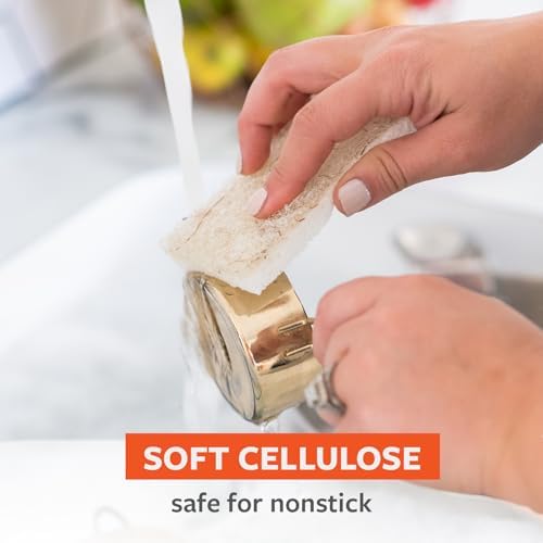 Full Circle Coconut Scrubber Sponges, Dual-Sided - Image 3