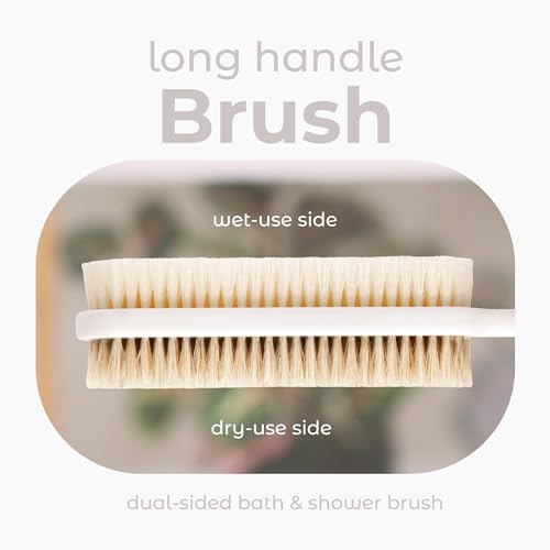 MainBasics Shower Brush Back Scrubber, Dual Sided Body Brush, Long Handle - Image 2