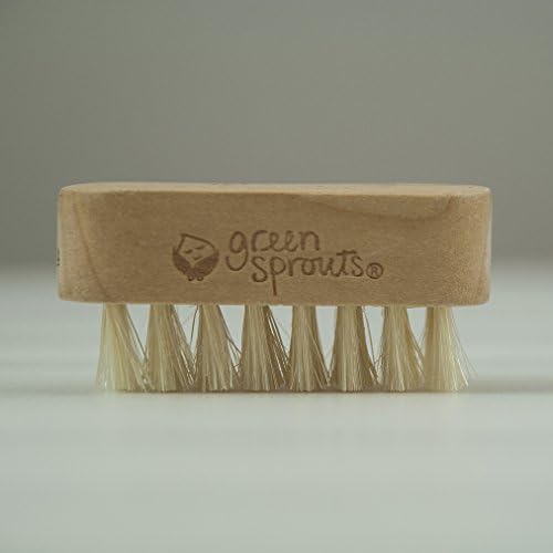 green sprouts Nail Brush - Image 4