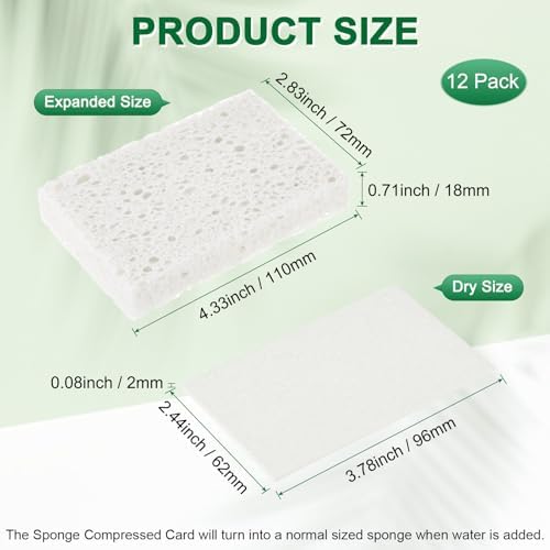 M METERXITY 12-Pack Kitchen Sponges, Condense Eco Cellulose Non-Scratch Scrub - Image 3