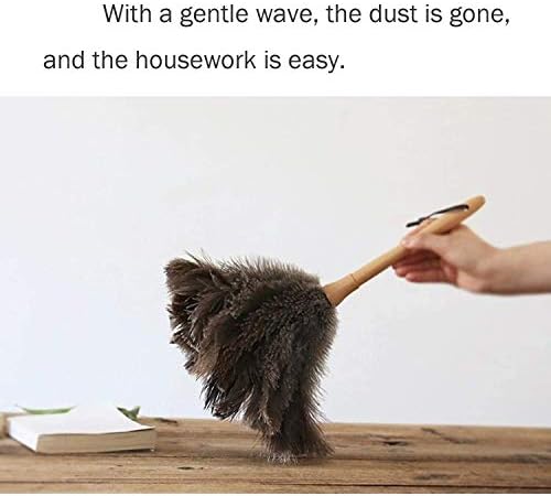 DDZMZ Ostrich Feather Duster for Cleaning - Image 6