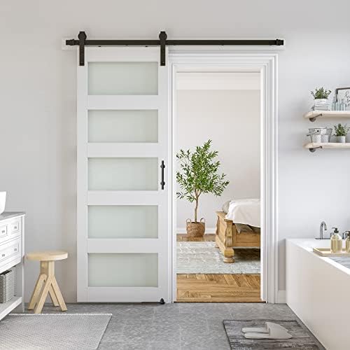 SMARTSTANDARD 32 x 80 in Glass Barn Door by SMARTSTANDARD