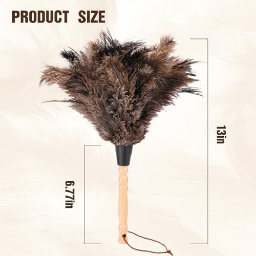 Ostrich Feather Dusters with Wood Handle，Reusable Feather Duster, Ostrich - Image 3