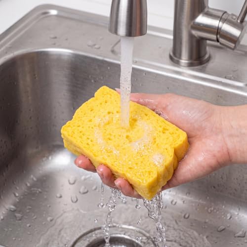 Norpro 1094 Natural Pop-Up Cleaning Sponges, Compostable, Dishwasher Safe - Image 4