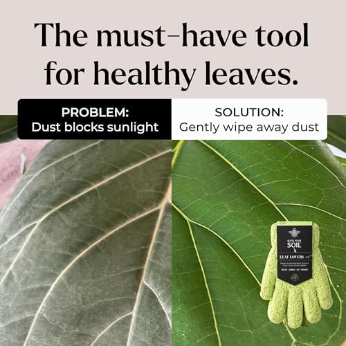 BLESS YOUR SOIL Microfiber Dusting Gloves - Image 6
