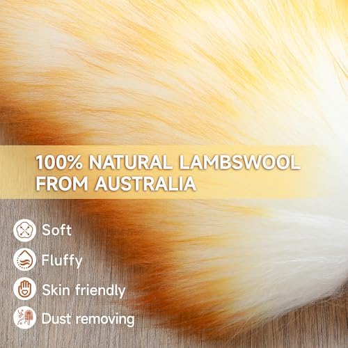 ONESIMUS 2 Pack Lambswool Dusters Fluffy Handheld Natural Feather Duster - Image 2