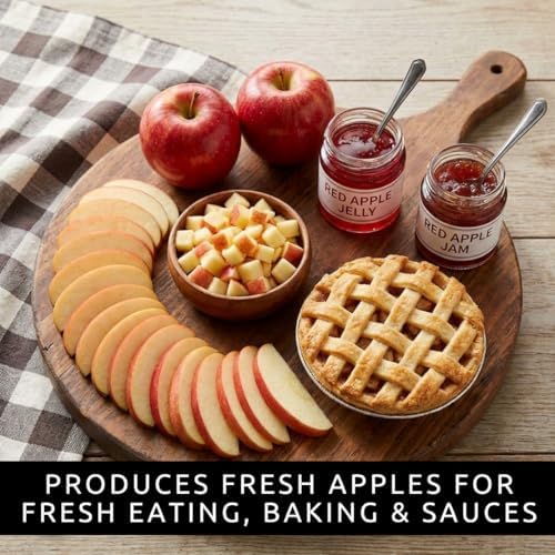 50 Apple Tree Seeds | Malus Domestica Fruit Tree Seeds - Image 5