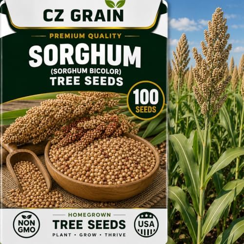 CZ Grain Seeds for Planting, 100 Sourghum by CZGrain