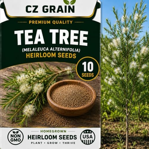 CZ Grain Seeds for Planting, 10 Te Tree by CZGrain
