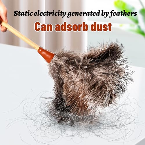 16 in Ostrich Feather Duster, Bamboo Handle - Image 3