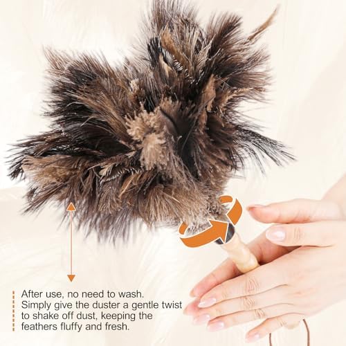 Ostrich Feather Dusters with Wood Handle，Reusable Feather Duster, Ostrich - Image 5