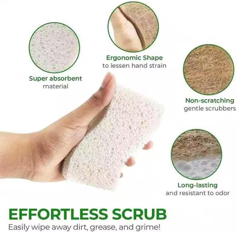 Plant-Based Kitchen Sponge Pack of 12 - Image 7