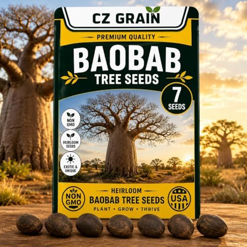 7 Baobab Tree Seeds | Exotic Tropical Bonsai Seeds by CZGrain