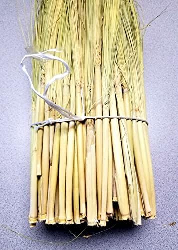 Craft Broom Corn with Stalks 2 Pound Bundle 24-36" Length - Image 2