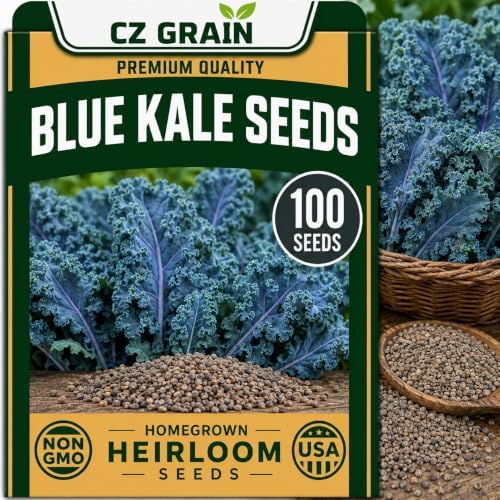 CZ Grain Seeds for Planting, 100 Blue Kale by CZGrain