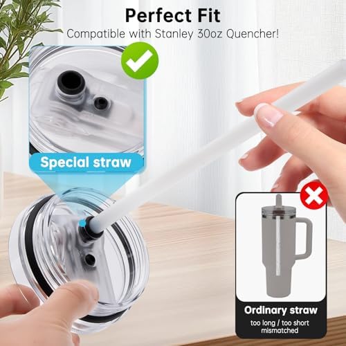 Replacement Straw Compatible - Image 2