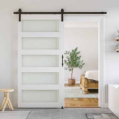 SMARTSTANDARD 42 x 84 in Glass Barn Door by SMARTSTANDARD