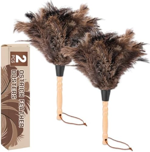 Ostrich Feather Dusters with Wood Handle，Reusable Feather Duster, Ostrich by Unknown